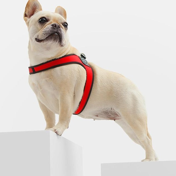 French Bulldog No-Pull Walking Harness for Travel Comfort-fadou