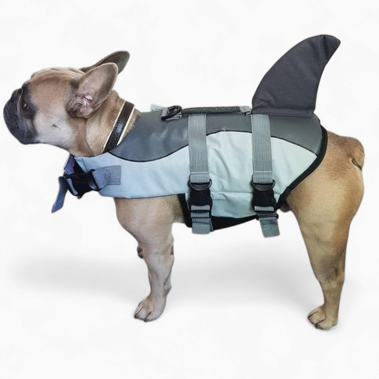 Jacket French Bulldog Winter Jacket for Flat-Face Breeds-fadou