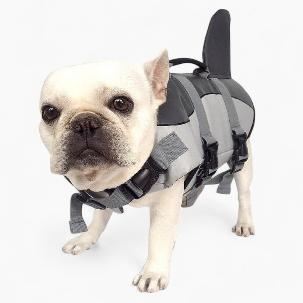 Jacket French Bulldog Winter Jacket for Flat-Face Breeds-fadou