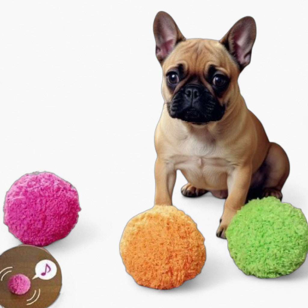 MAGIC ROLLER BALL TOY for French Bulldog Owners and Fans-fadou