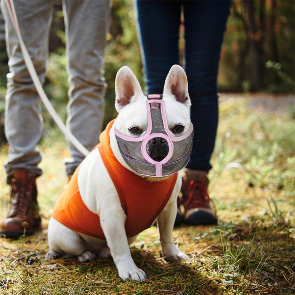 Revolutionary French Bulldog Safety Muzzle for Cozy Nights-fadou