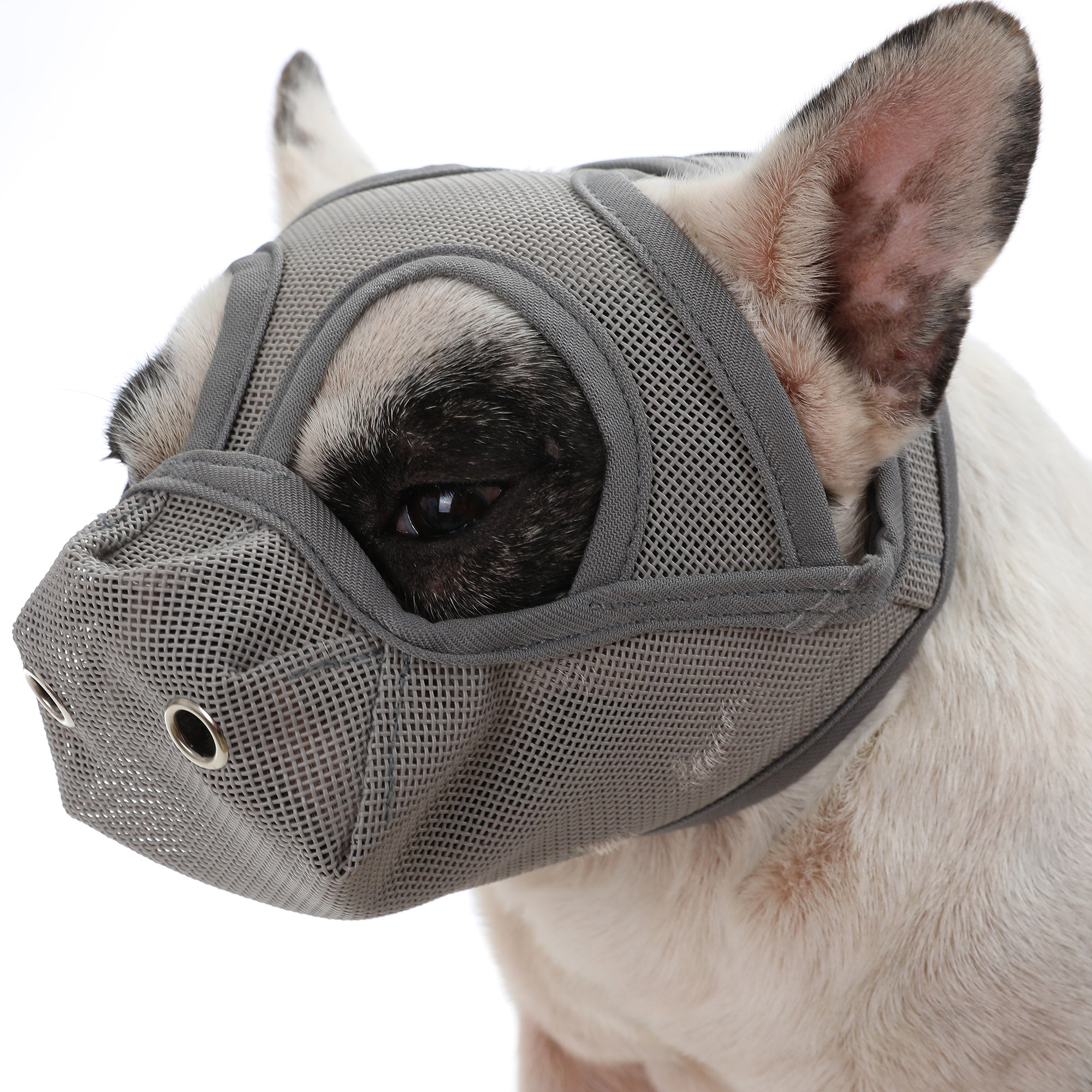 Frenchie Breathable Safety Muzzle for Brachycephalic Dogs-fadou