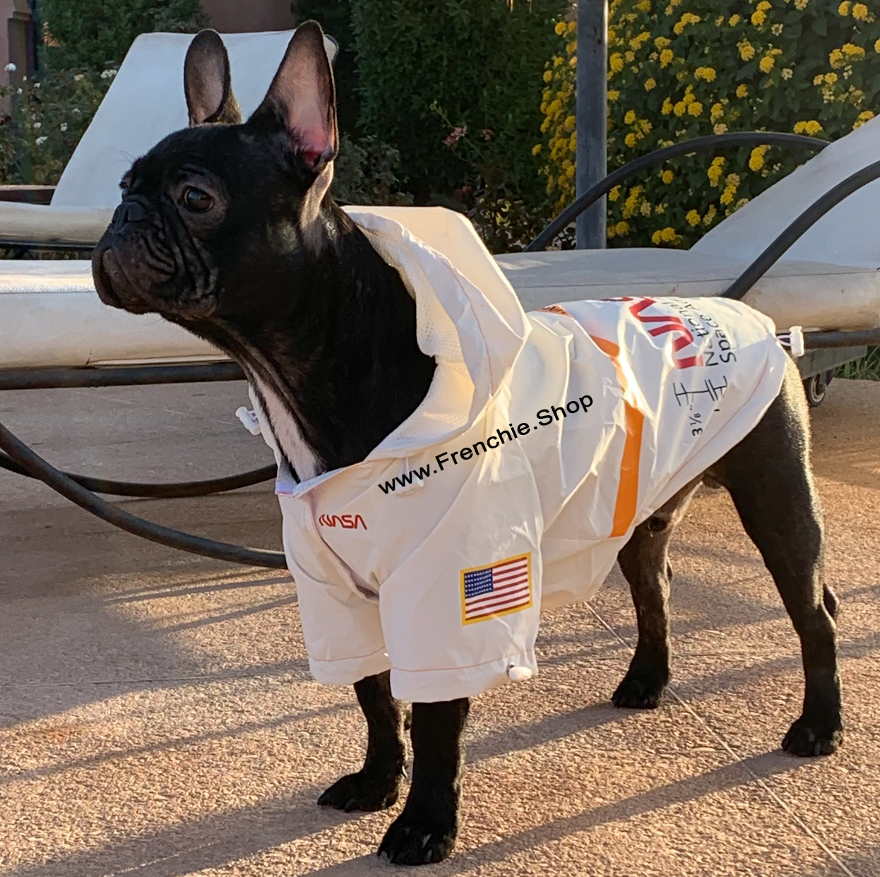 Astronaut French Bulldog Rain Jacket for Short-Nosed Dogs-fadou