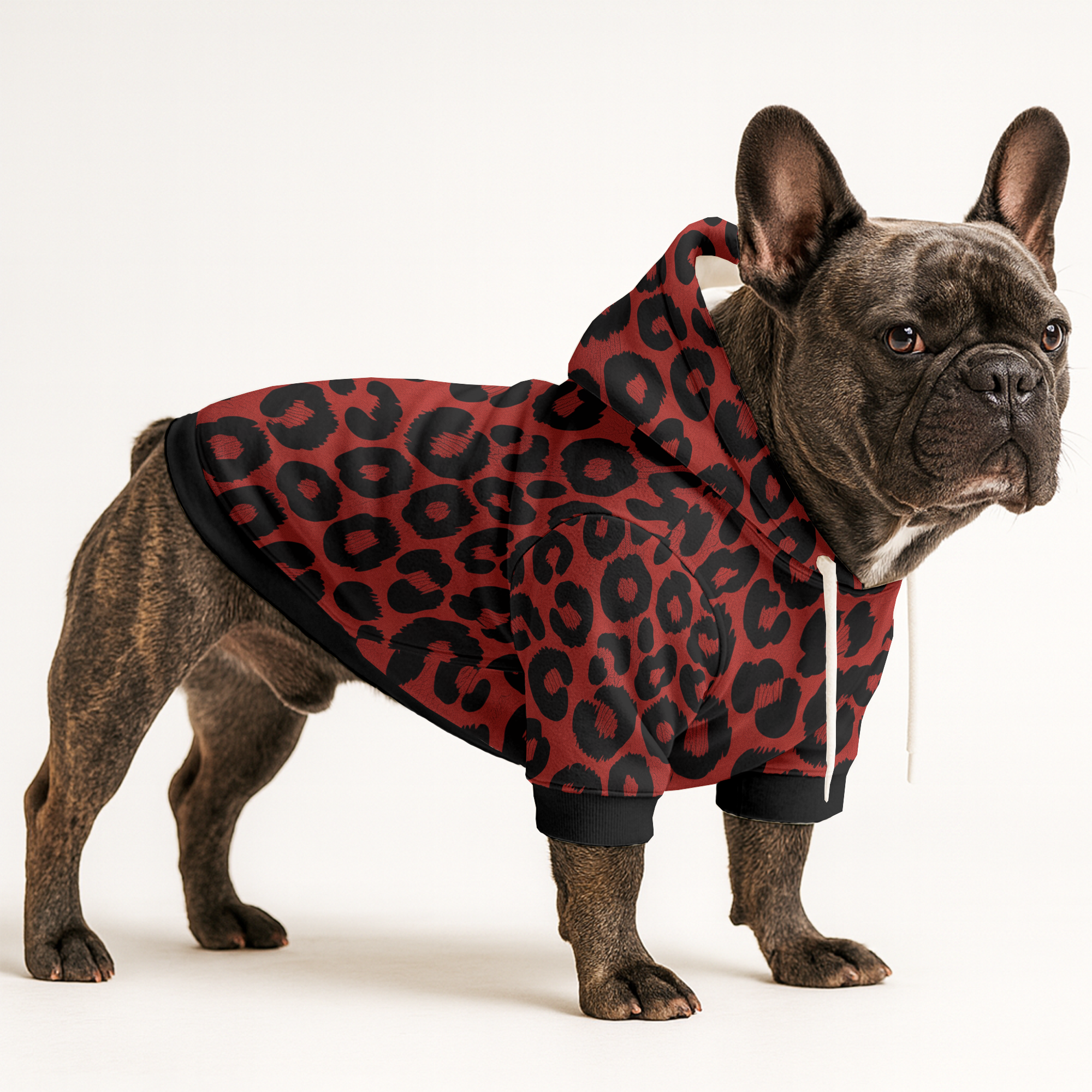 Maxima French Bulldog Pet Sweatshirt for Training Sessions-fadou