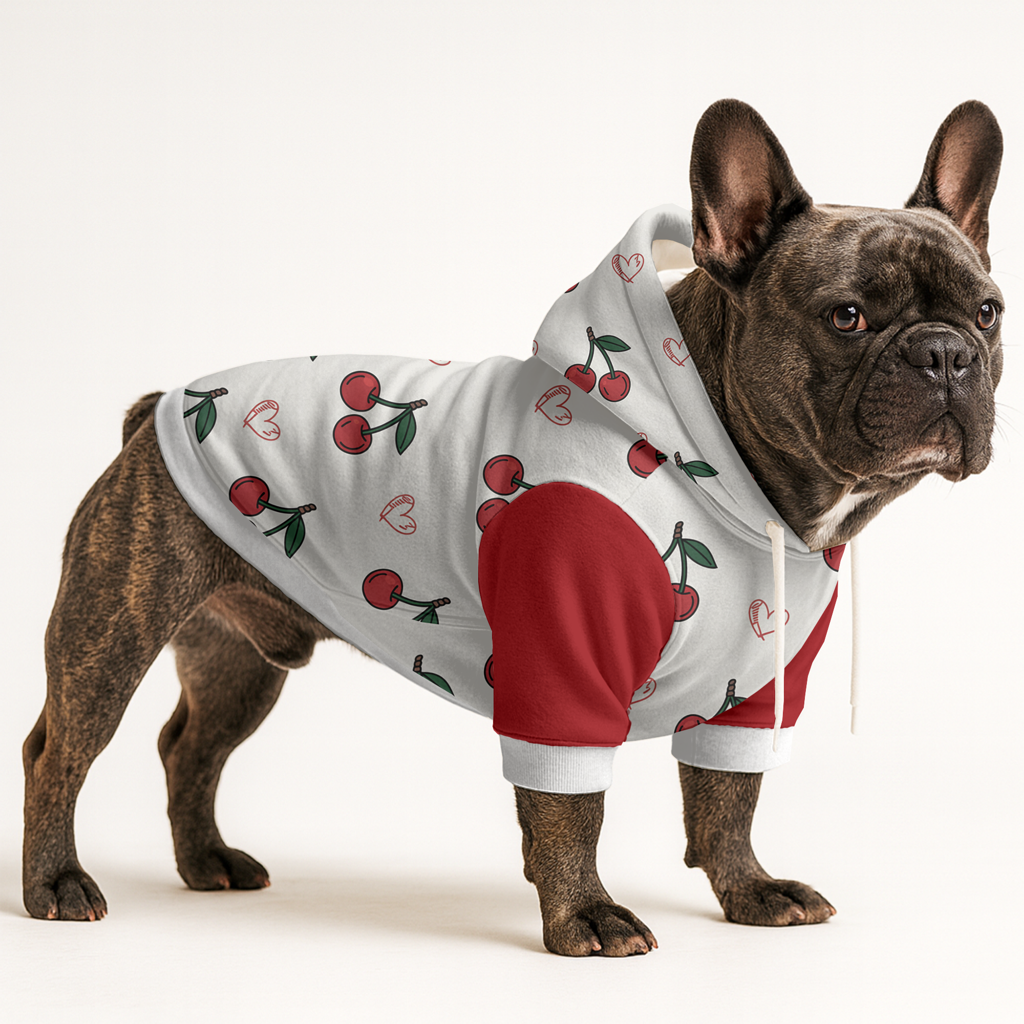 Queen French Bulldog Fleece Hoodie for Flat-Face Breeds-fadou