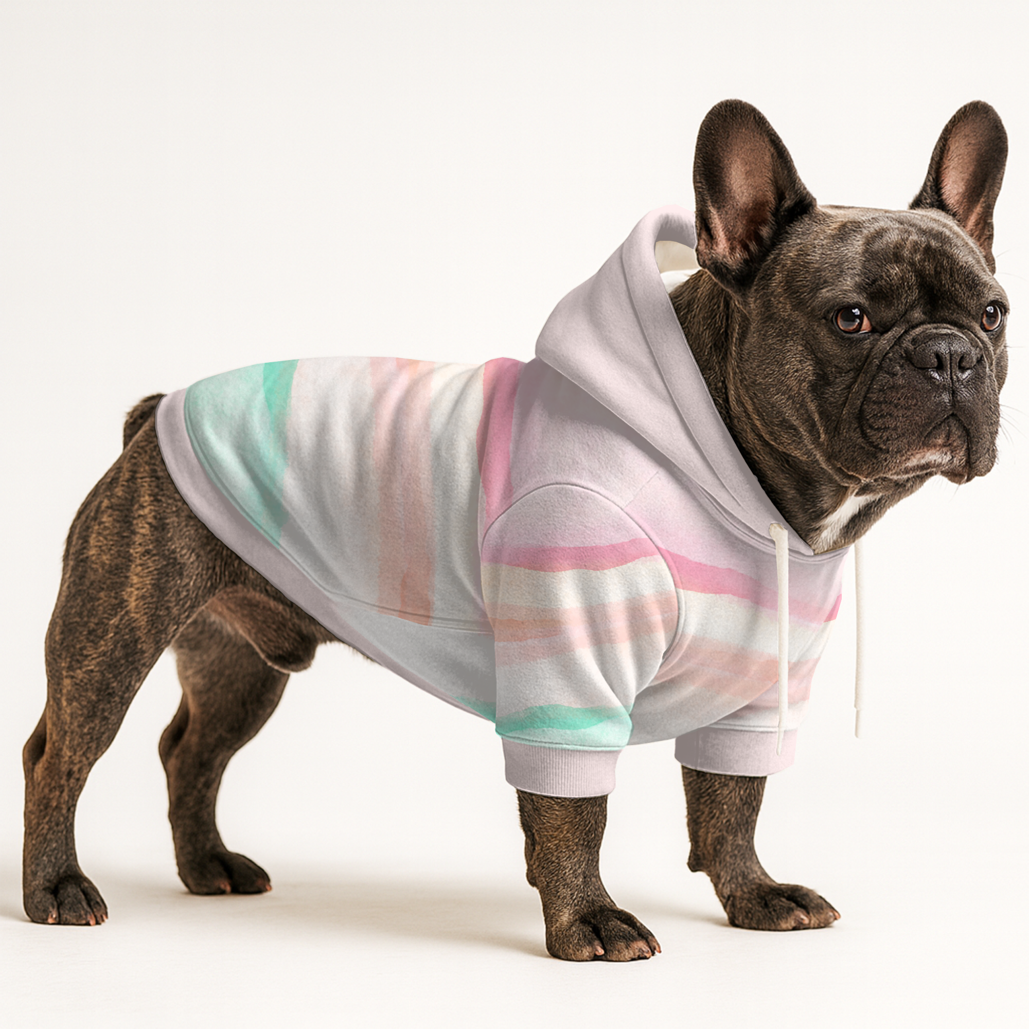 Pippa French Bulldog Pet Sweatshirt for French Bulldogs-fadou