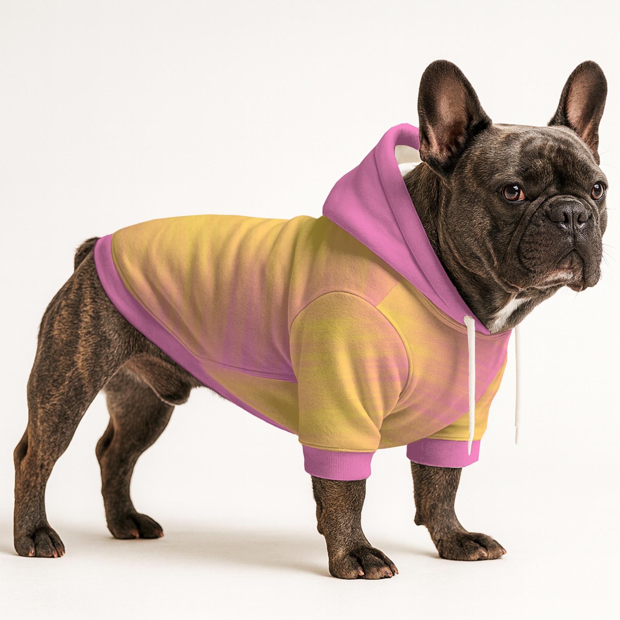 Momo - Frenchie Hoodie for Bulldog Fans for French Bulldogs-fadou