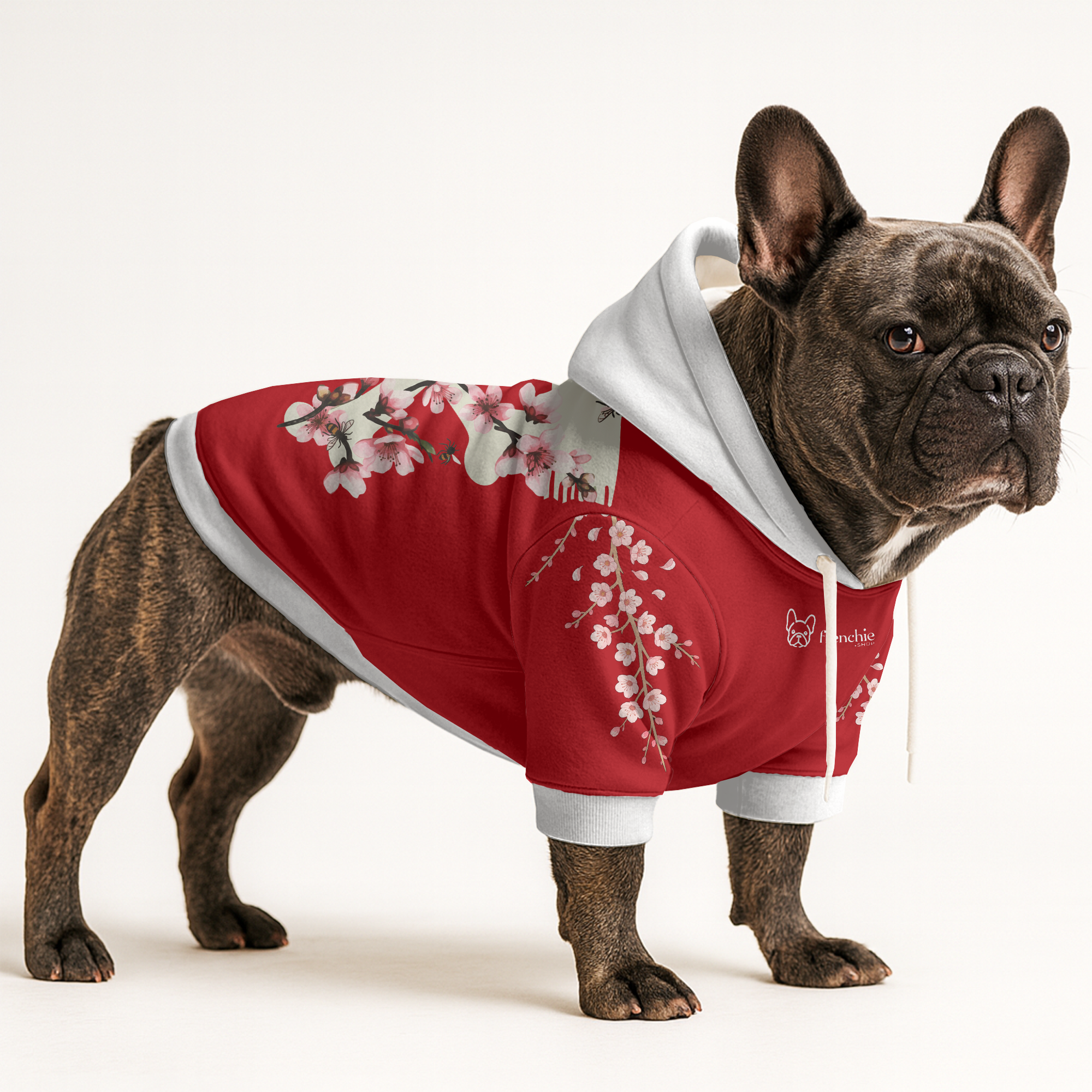 Darwin French Bulldog Dog Hoodie for Brachycephalic Dogs-fadou