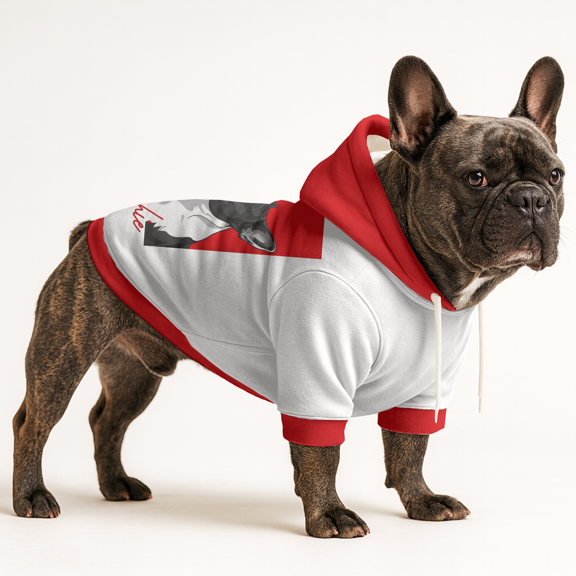 Baz French Bulldog Pet Sweatshirt for Brachycephalic Dogs-fadou