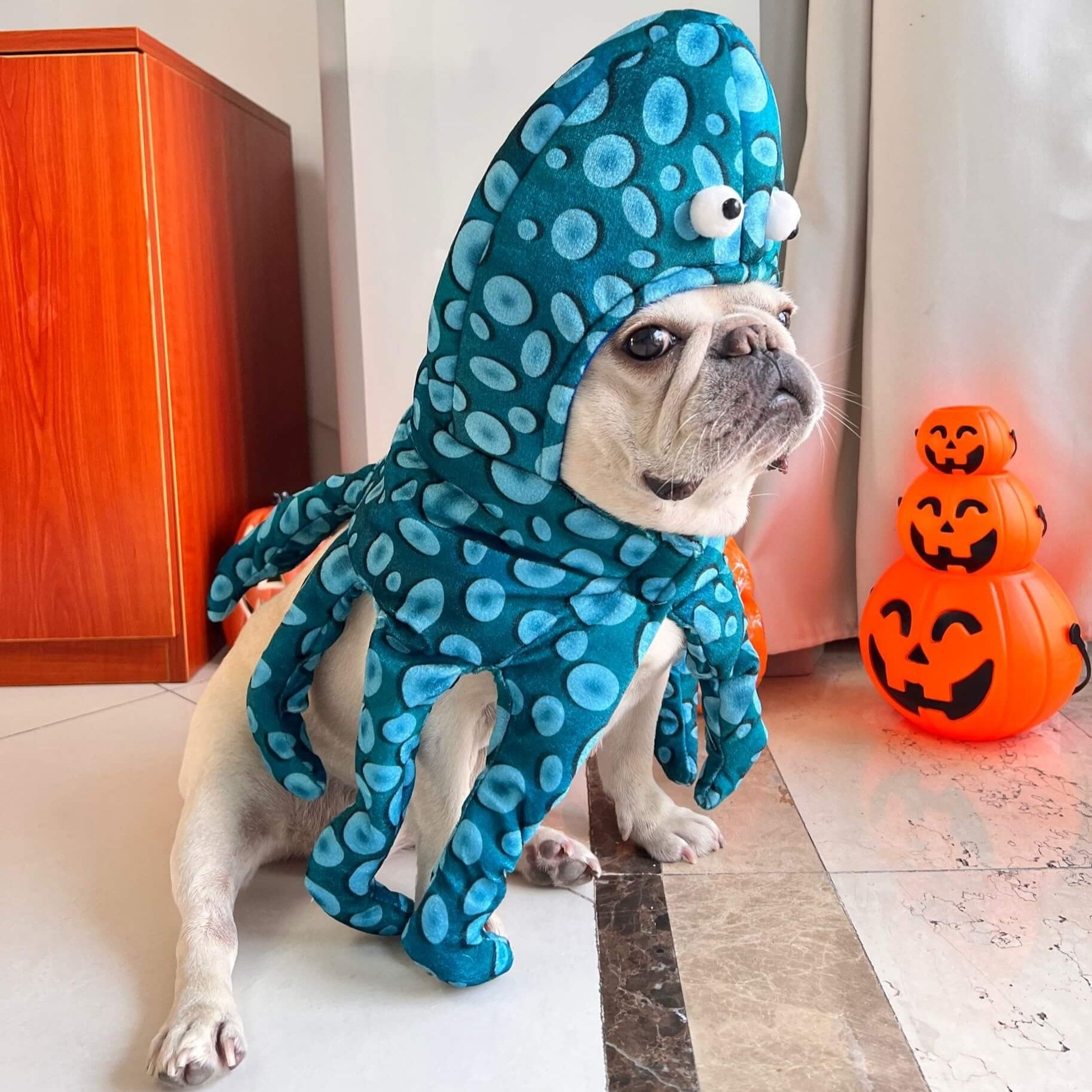 French Bulldog Adjustable Dog Costume for Flat-Face Breeds-fadou