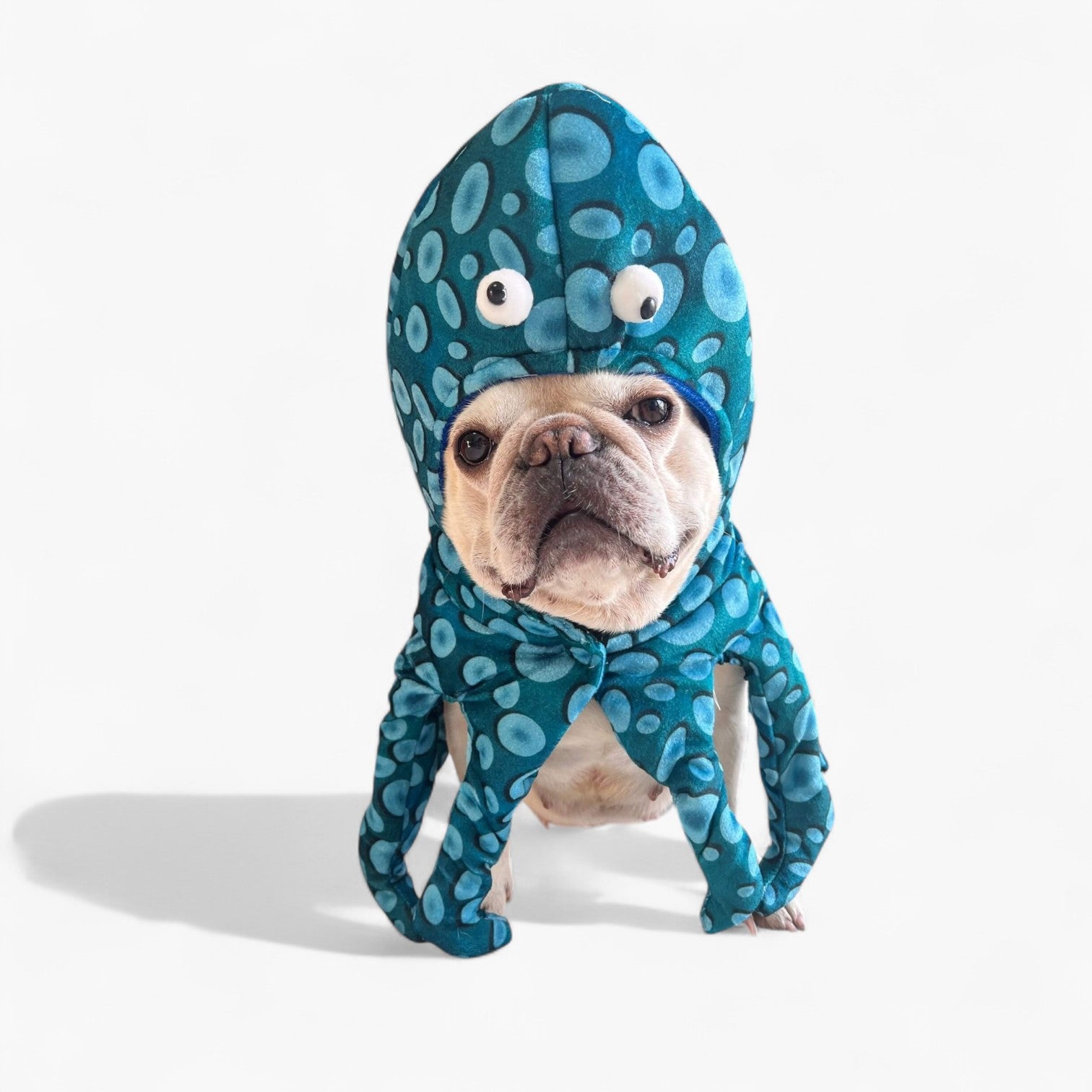 French Bulldog Adjustable Dog Costume for Flat-Face Breeds-fadou