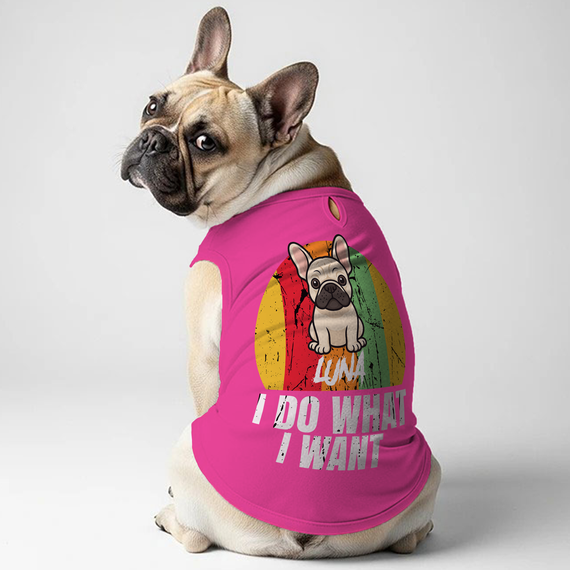 Custom Personalized Graphic Tee for Frenchie Enthusiasts-fadou
