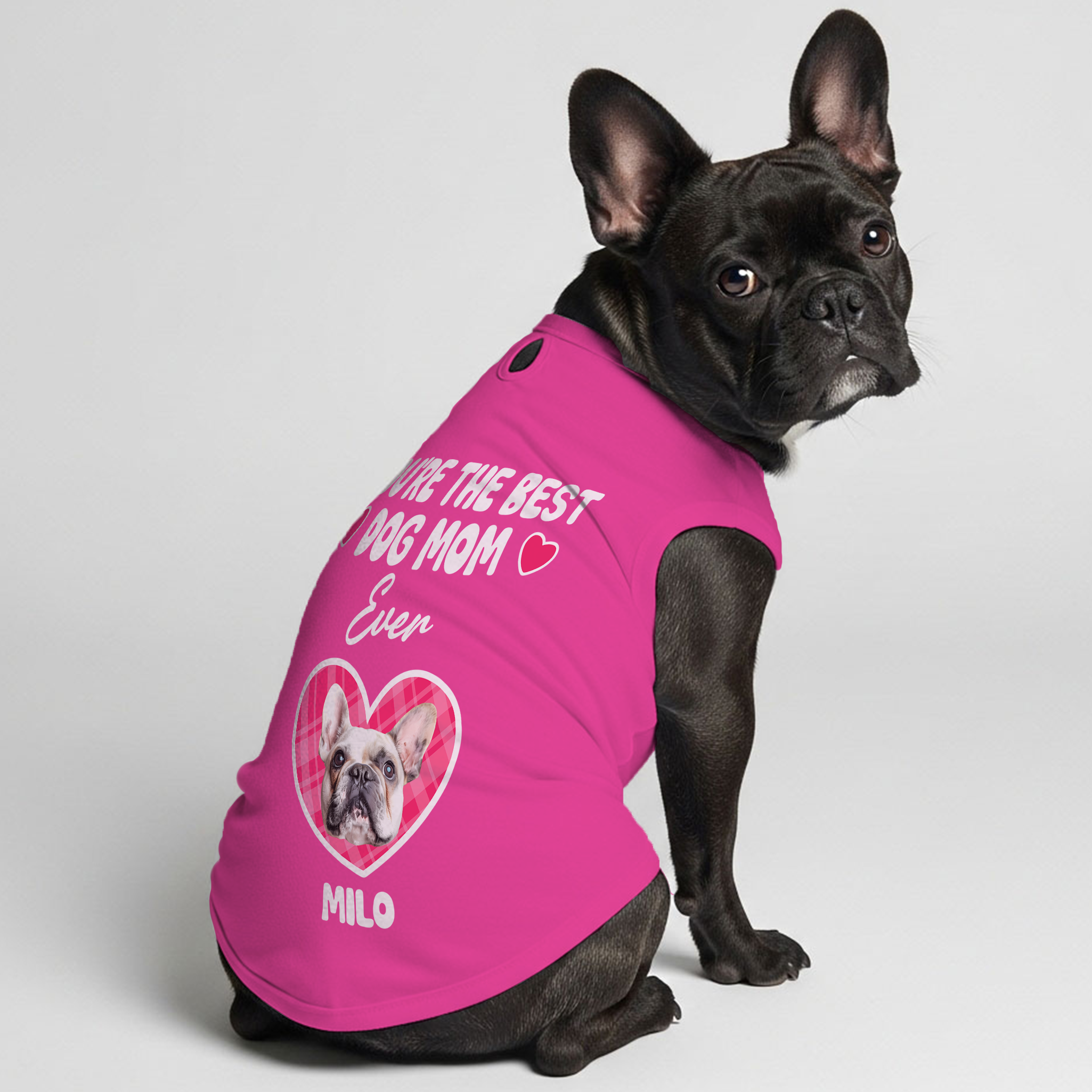 French Bulldog Personalized Graphic Tee for Dog Park Days-fadou