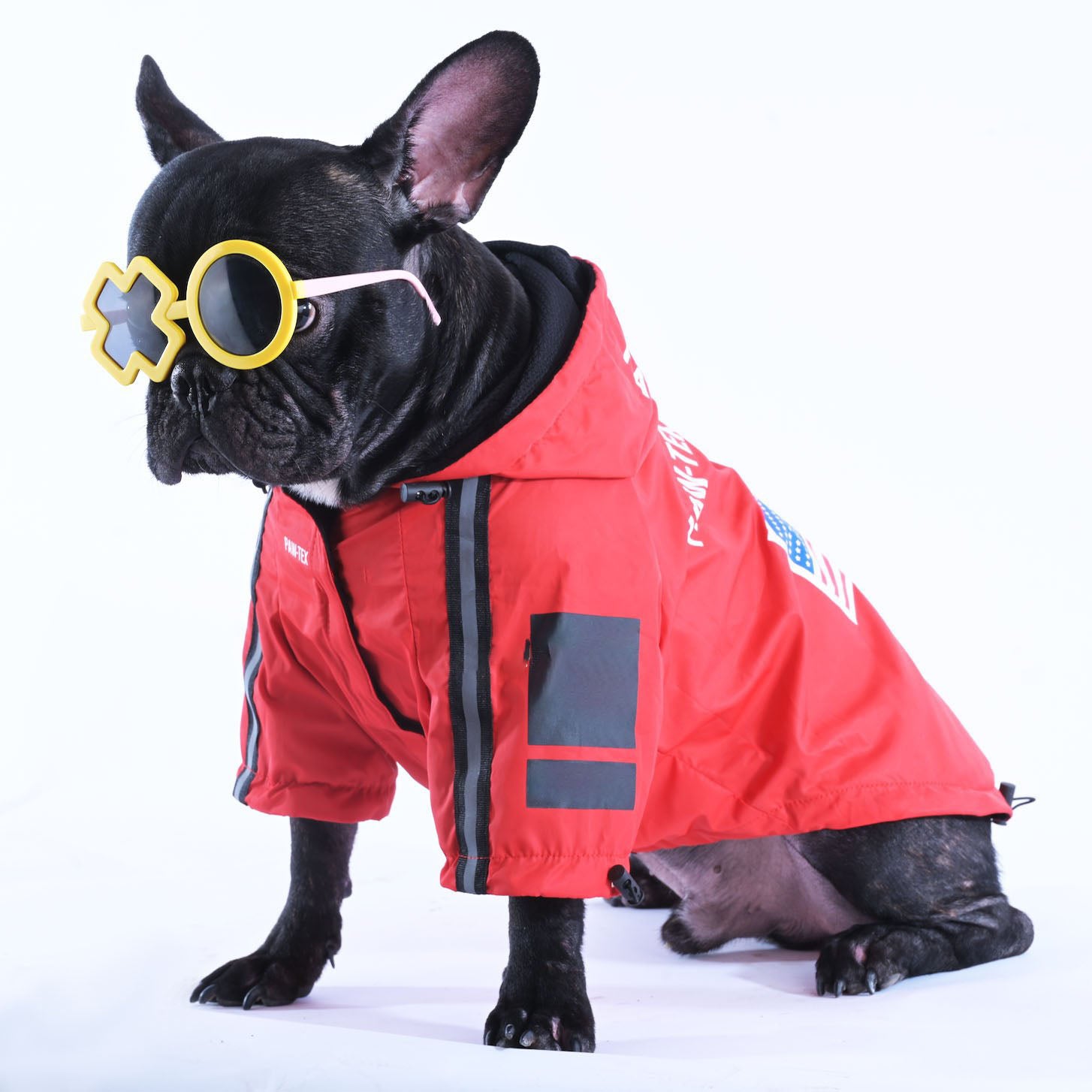 Pawmax French Bulldog Weather Shield for Travel Comfort-fadou