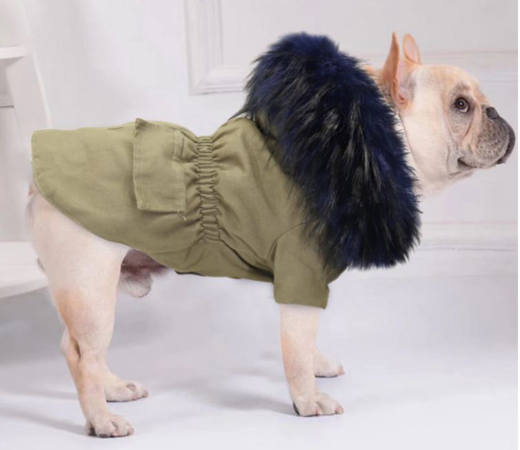 PawMax French Bulldog Winter Jacket for Training Sessions-fadou