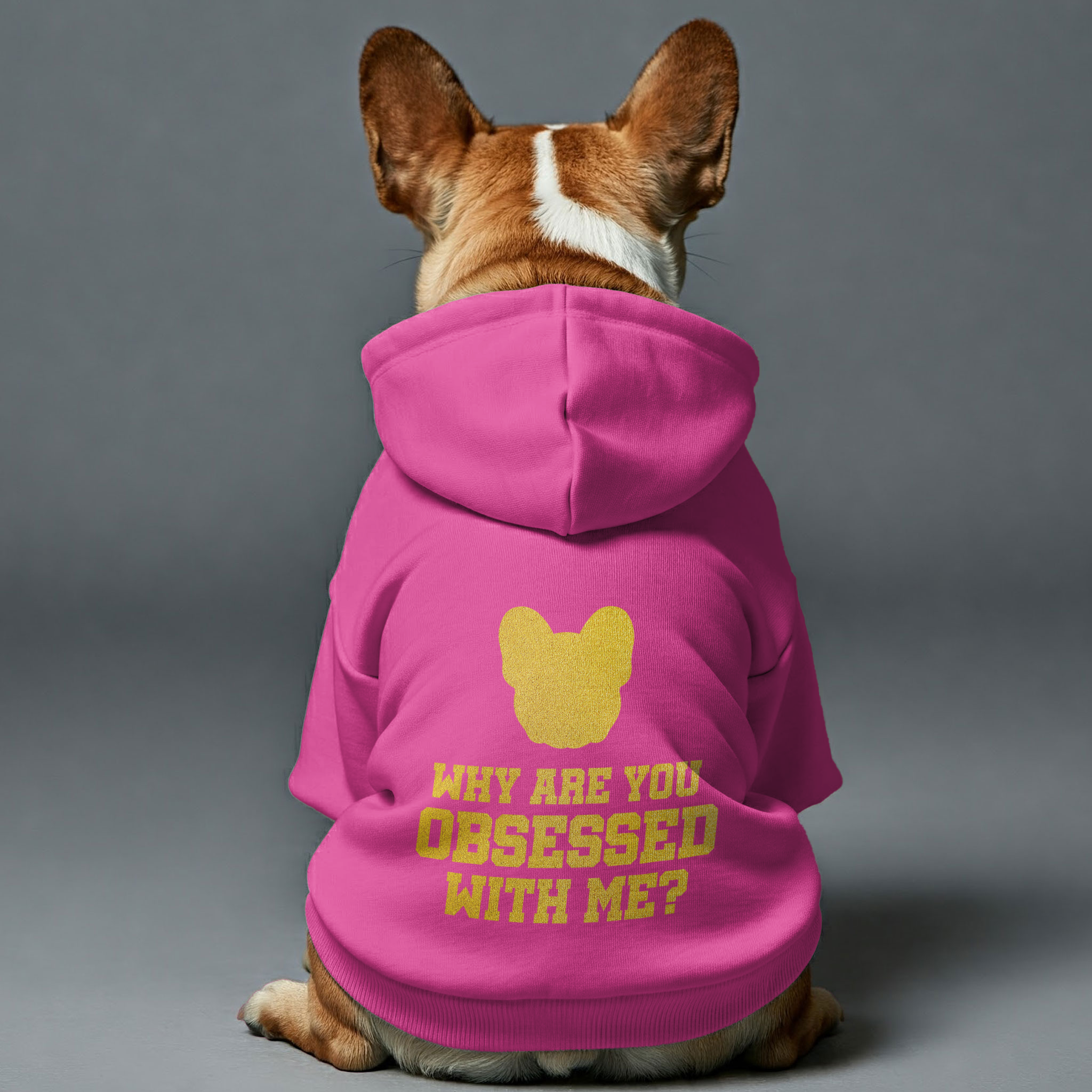 Why French Bulldog Fleece Hoodie for Brachycephalic Dogs-fadou