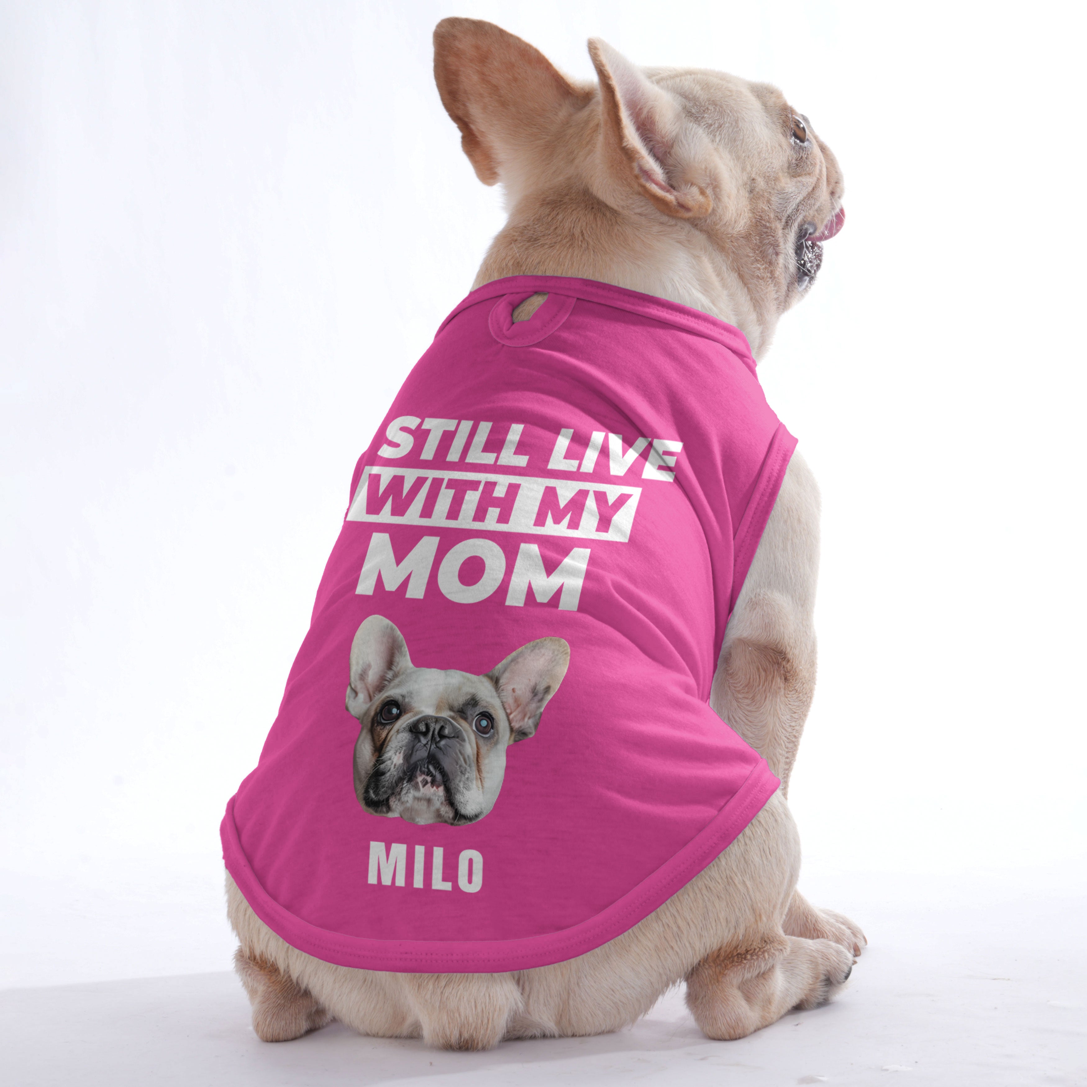 Custom Personalized Dog Lover Tee for Frenchie Enthusiasts-fadou