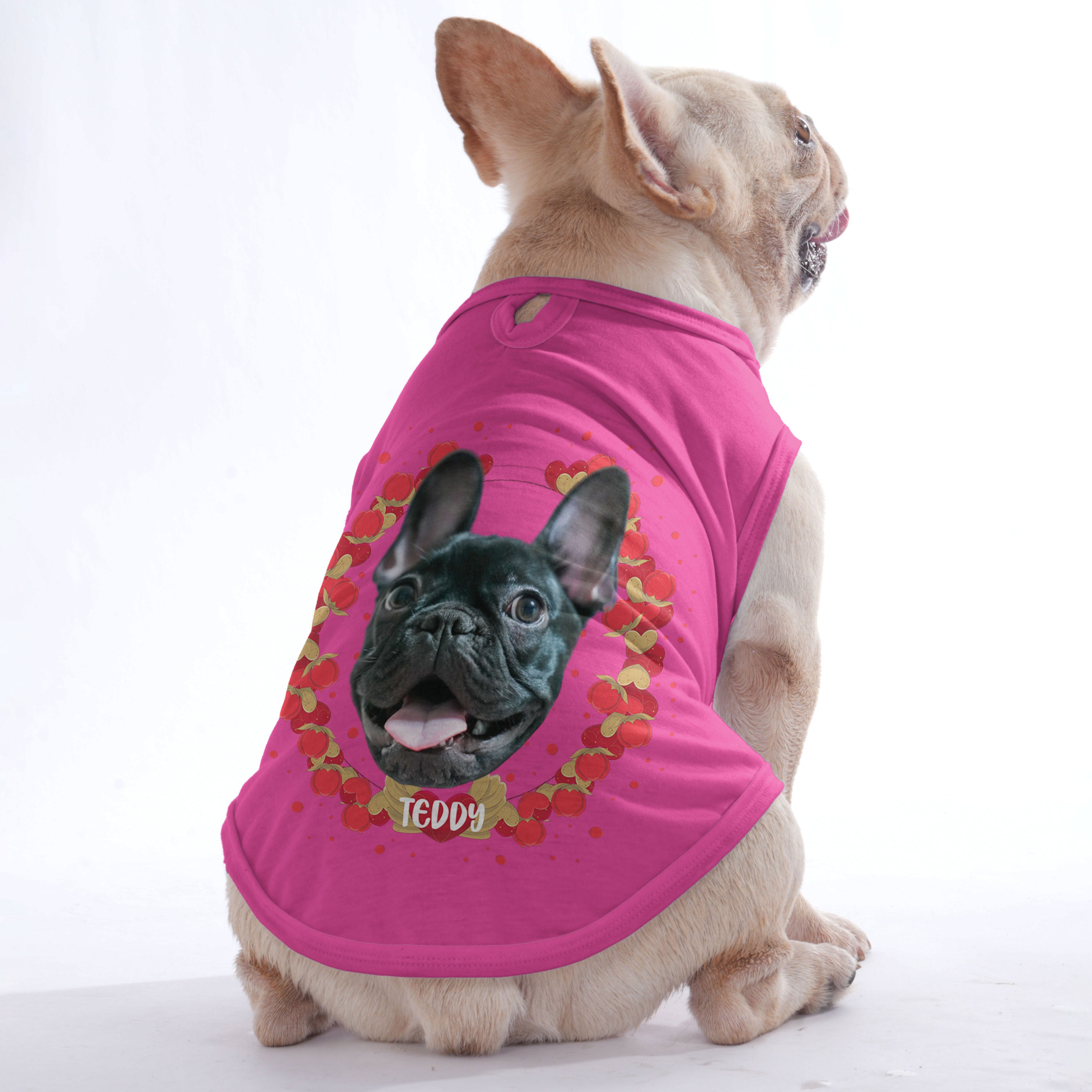 Frenchie Personalized Graphic Tee for Frenchie Enthusiasts-fadou