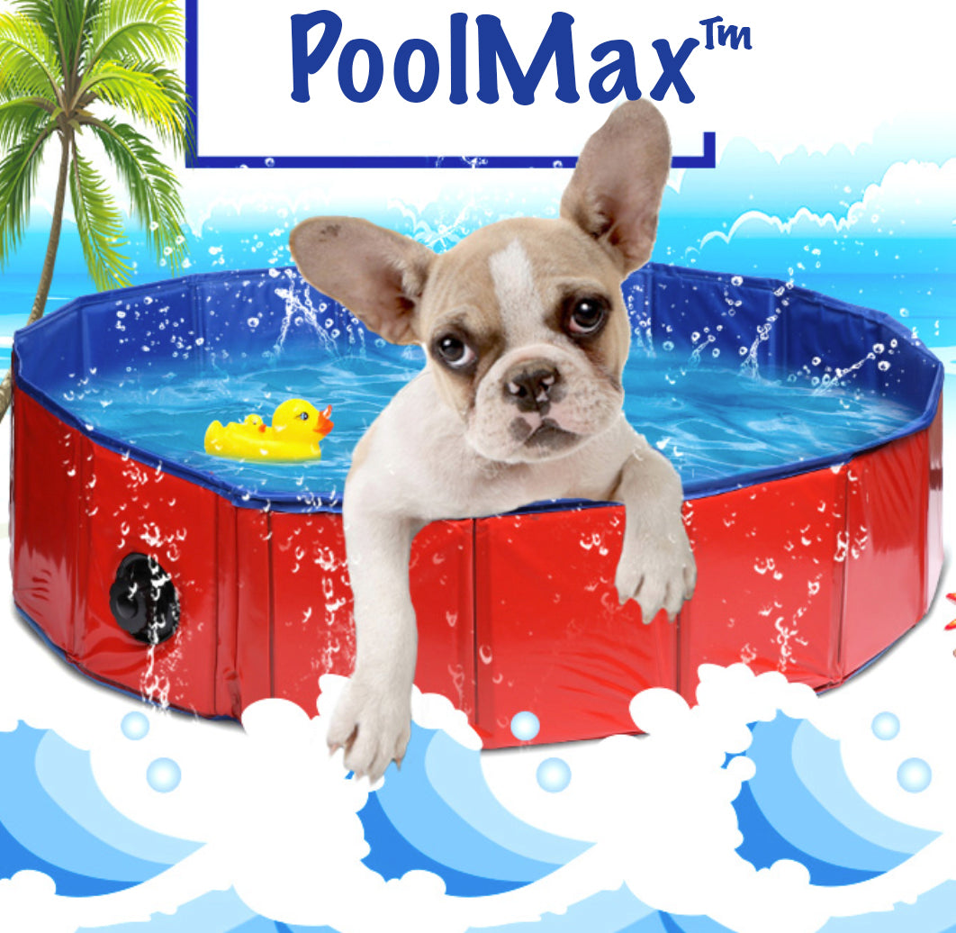French Bulldog Foldable Pet Product for French Bulldogs-fadou