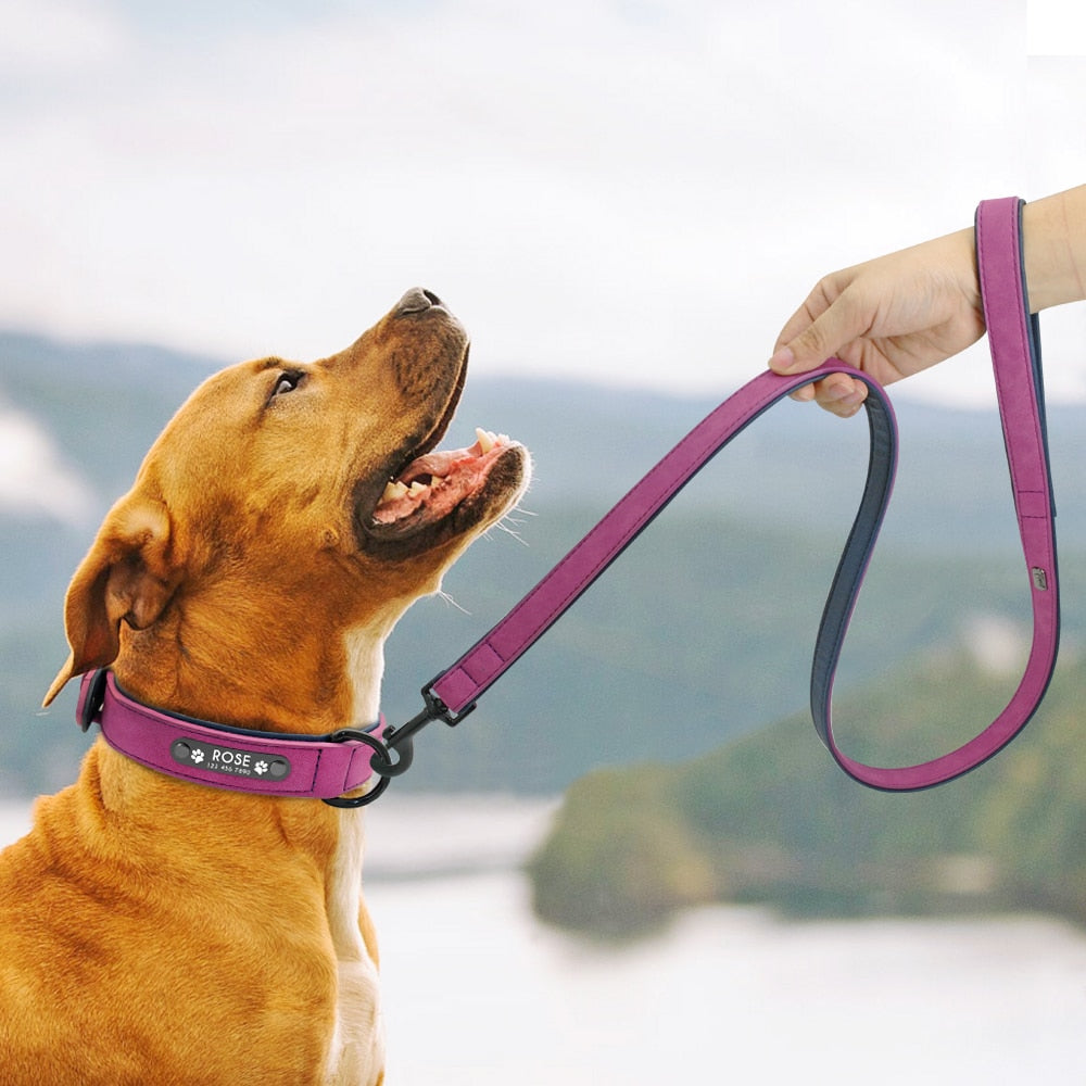 Personalised French Bulldog Dog Collar for Outdoor Adventures-fadou