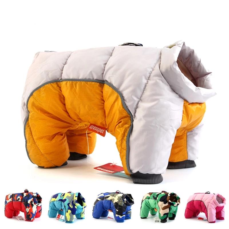 Daisy Coat for French Bulldog Owners and Fans for French Bulldog Lovers-fadou