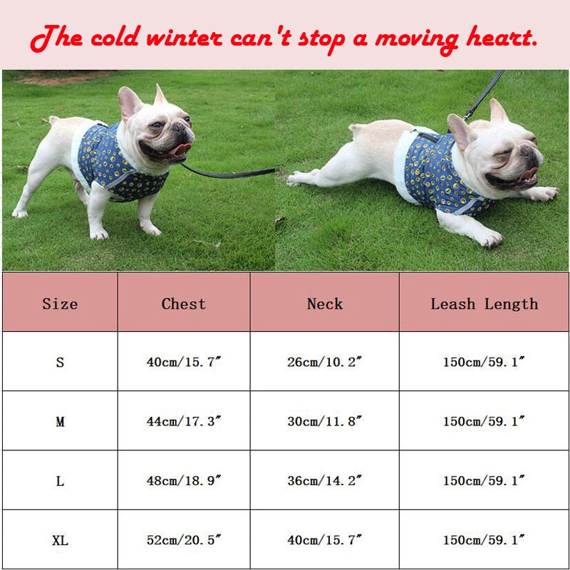 Frenchie Reflective Walking Harness for Training Sessions-fadou
