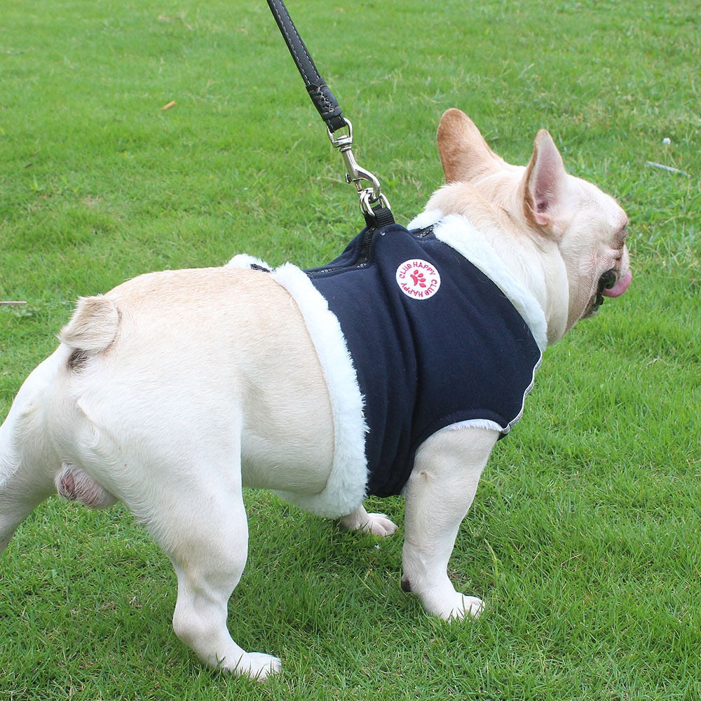 Frenchie Reflective Walking Harness for Training Sessions-fadou