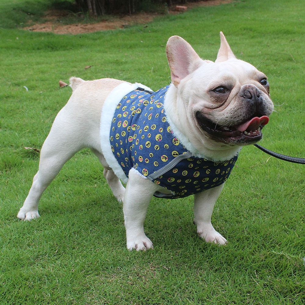Frenchie Reflective Walking Harness for Training Sessions-fadou