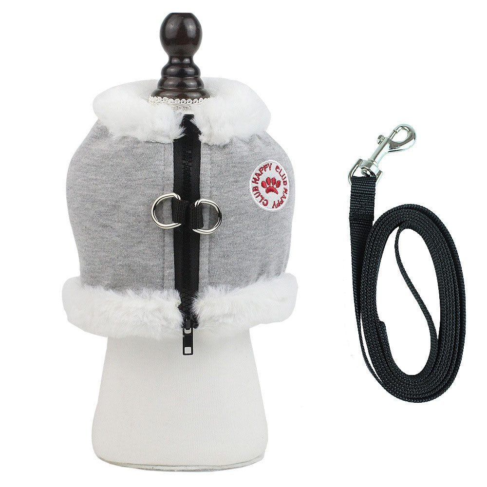Frenchie Reflective Walking Harness for Training Sessions-fadou
