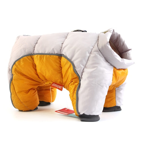Daisy Coat for French Bulldog Owners and Fans for French Bulldog Lovers-fadou