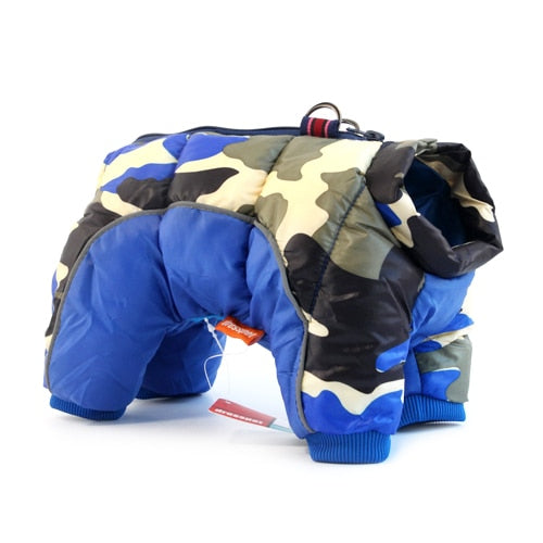 Daisy Coat for French Bulldog Owners and Fans for French Bulldog Lovers-fadou