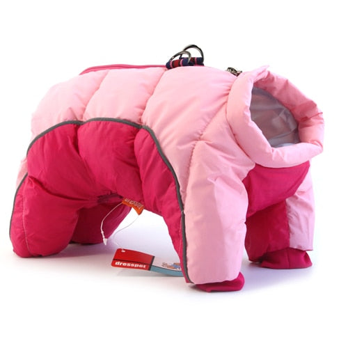 Daisy Coat for French Bulldog Owners and Fans for French Bulldog Lovers-fadou