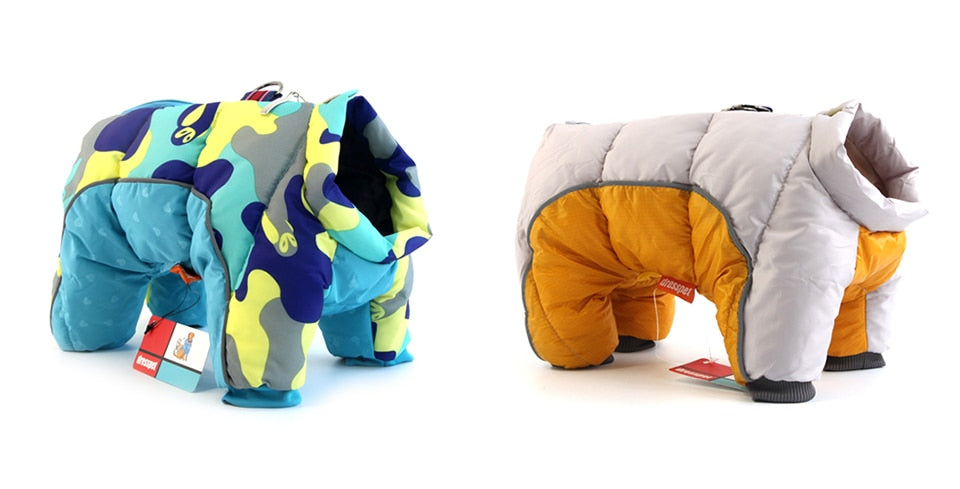 Daisy Coat for French Bulldog Owners and Fans for French Bulldog Lovers-fadou