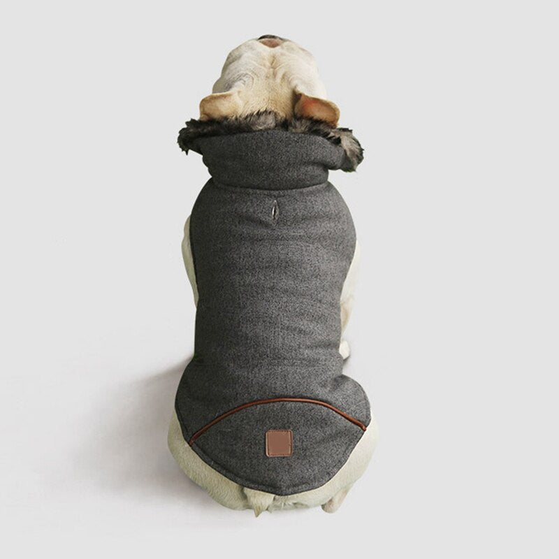 Cotton Coat for Frenchie for French Bulldog Owners and Fans-fadou