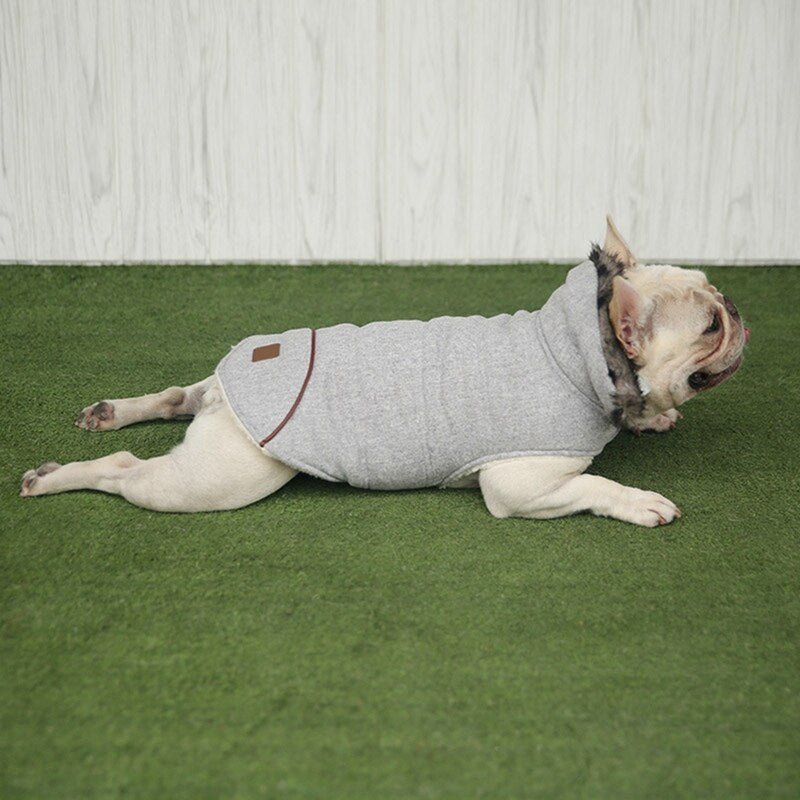 Cotton Coat for Frenchie for French Bulldog Owners and Fans-fadou