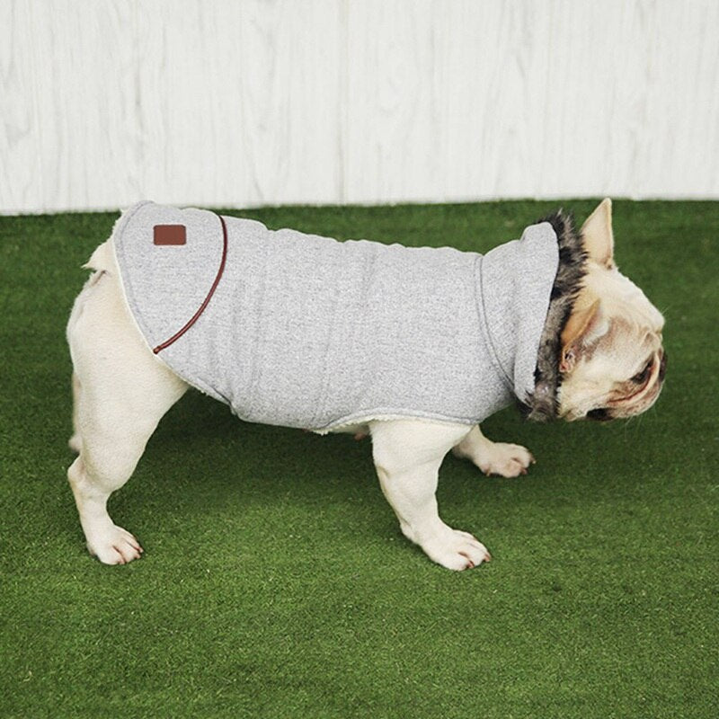 Cotton Coat for Frenchie for French Bulldog Owners and Fans-fadou