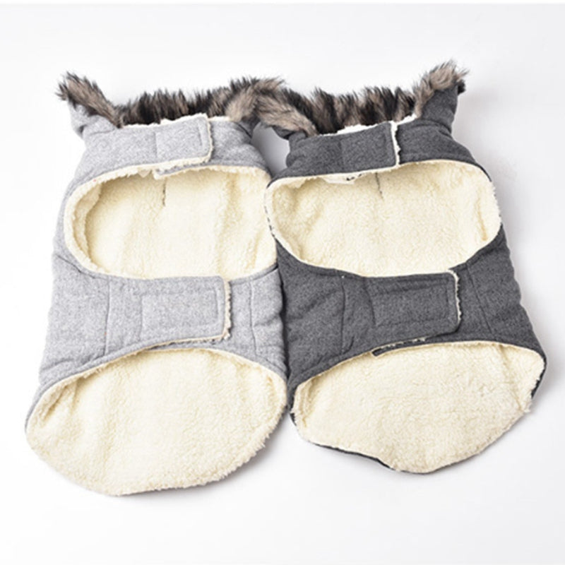 Cotton Coat for Frenchie for French Bulldog Owners and Fans-fadou