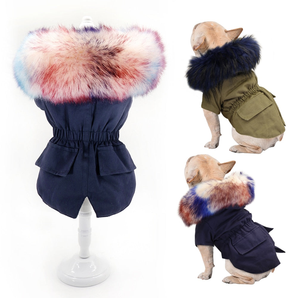 PawMax French Bulldog Winter Jacket for Training Sessions-fadou