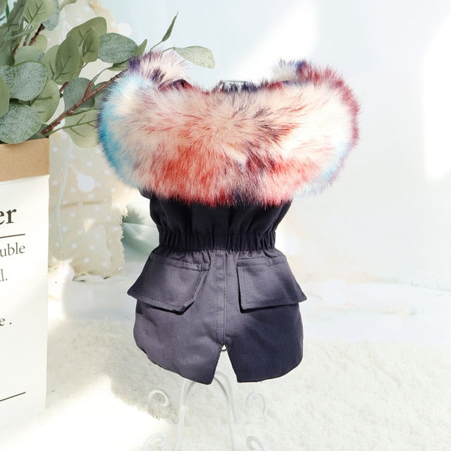 PawMax French Bulldog Winter Jacket for Training Sessions-fadou