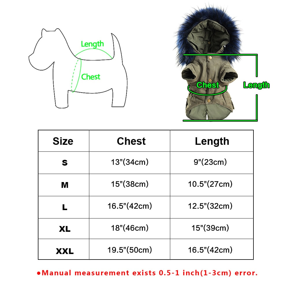 PawMax French Bulldog Winter Jacket for Training Sessions-fadou