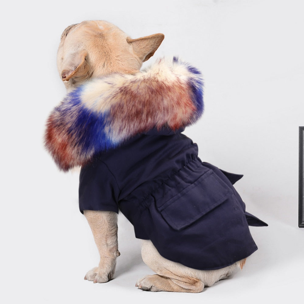 PawMax French Bulldog Winter Jacket for Training Sessions-fadou