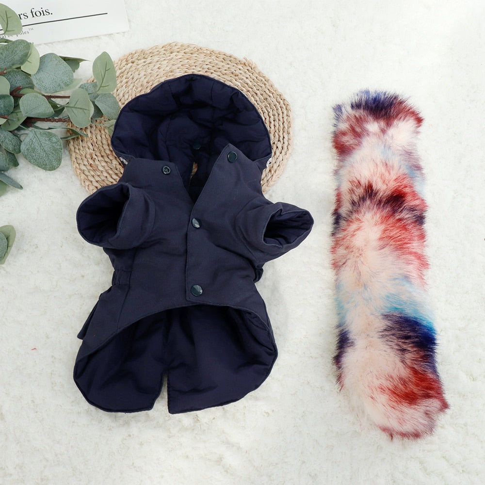 PawMax French Bulldog Winter Jacket for Training Sessions-fadou
