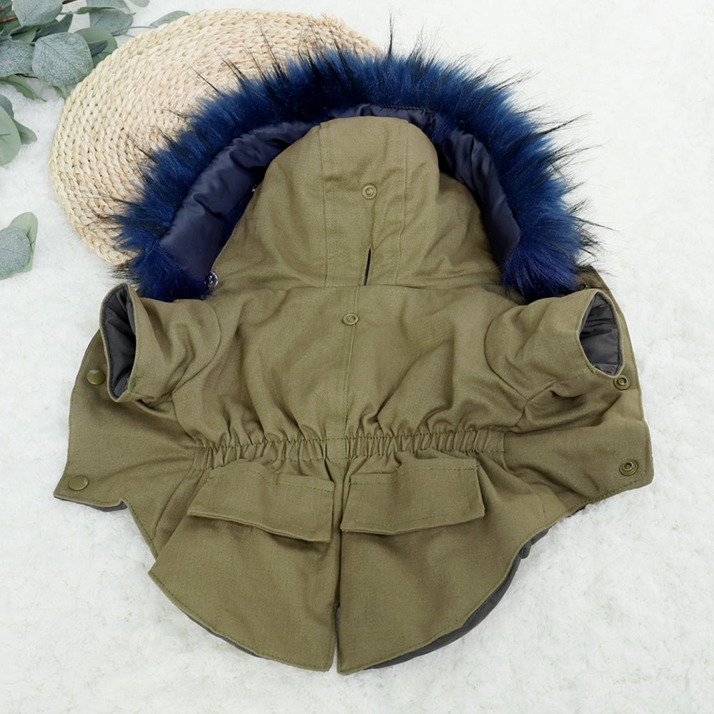 PawMax French Bulldog Winter Jacket for Training Sessions-fadou