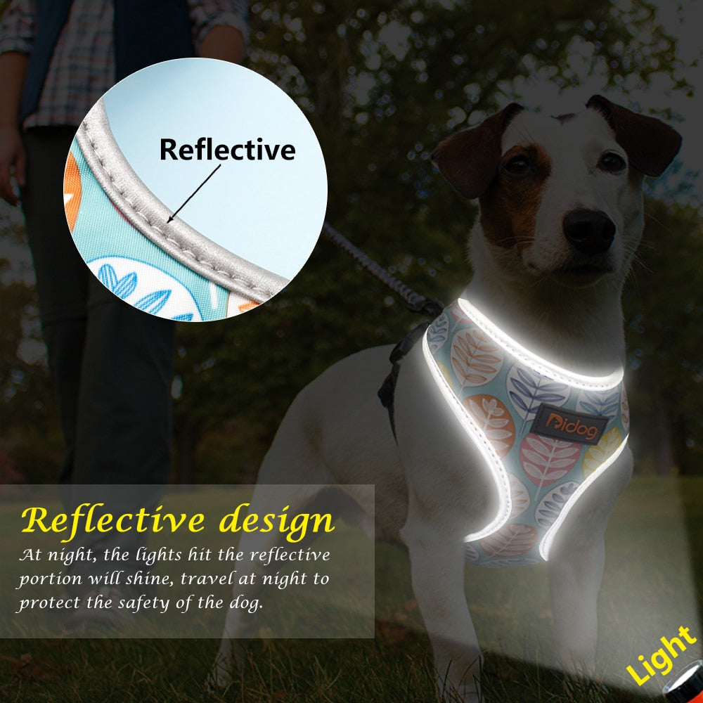 Colorful French Bulldog Chest Harness for French Bulldogs-fadou