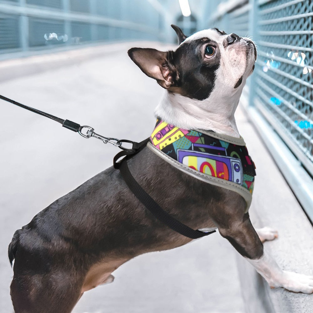 Colorful French Bulldog Chest Harness for French Bulldogs-fadou