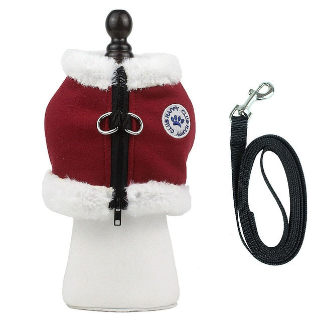 Frenchie Reflective Walking Harness for Training Sessions-fadou