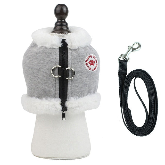 Frenchie Reflective Walking Harness for Training Sessions-fadou