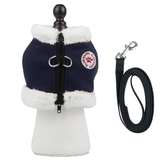 Frenchie Reflective Walking Harness for Training Sessions-fadou