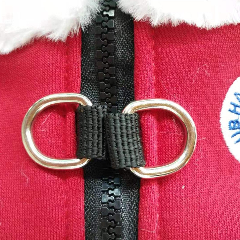 Frenchie Reflective Walking Harness for Training Sessions-fadou