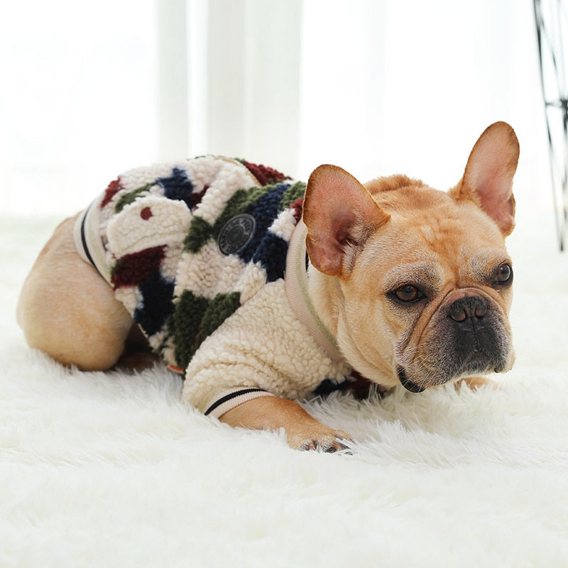 French Bulldog Winter Winter Jacket for Training Sessions-fadou